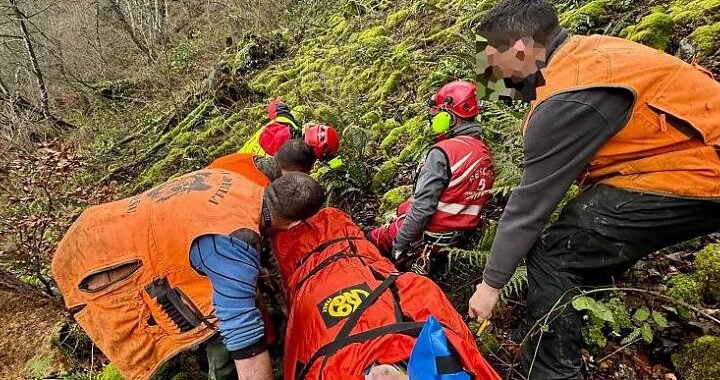 Los 4 errores más comunes que debes evitar en tu primera salida al bosque para recolectar setas.