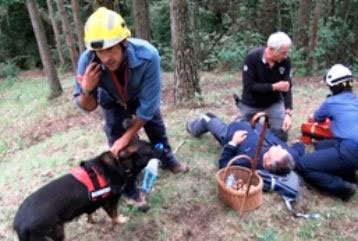 Los 4 errores más comunes que debes evitar en tu primera salida al bosque para recolectar setas.