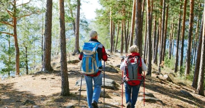 Equipo básico para recolectar setas: guía completa.