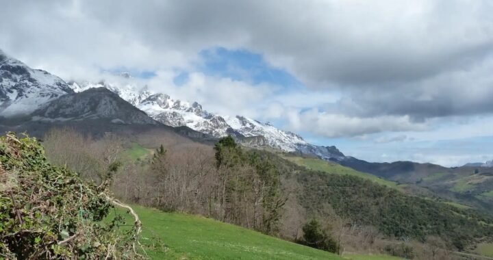 Los lugares prohibidos para recolectar setas en Cantabria. (Que nadie quiere que sepas)