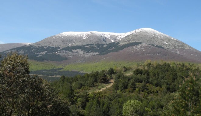 El mapa secreto de las setas en Aragón: dónde, cuándo y cómo recolectarlas como un experto.