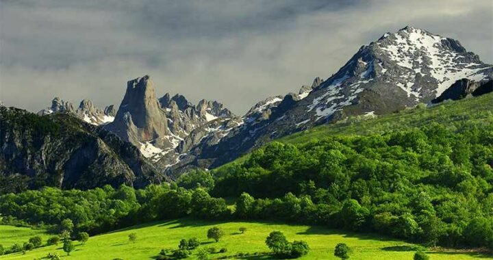 Dónde y cuándo recoger setas en Asturias: mapa de zonas, especies comestibles y trucos de expertos.
