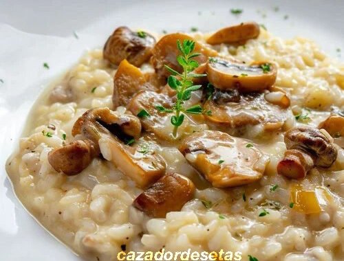 Risotto de boletus: receta fácil y cremosa paso a paso.