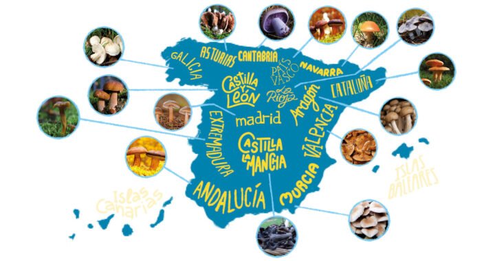 Mapa interactivo de zonas de recolección de setas por comunidades autónomas en España.