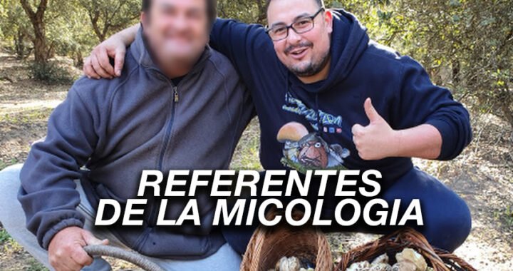 Setadicción: el referente de la micología didáctica en YouTube.